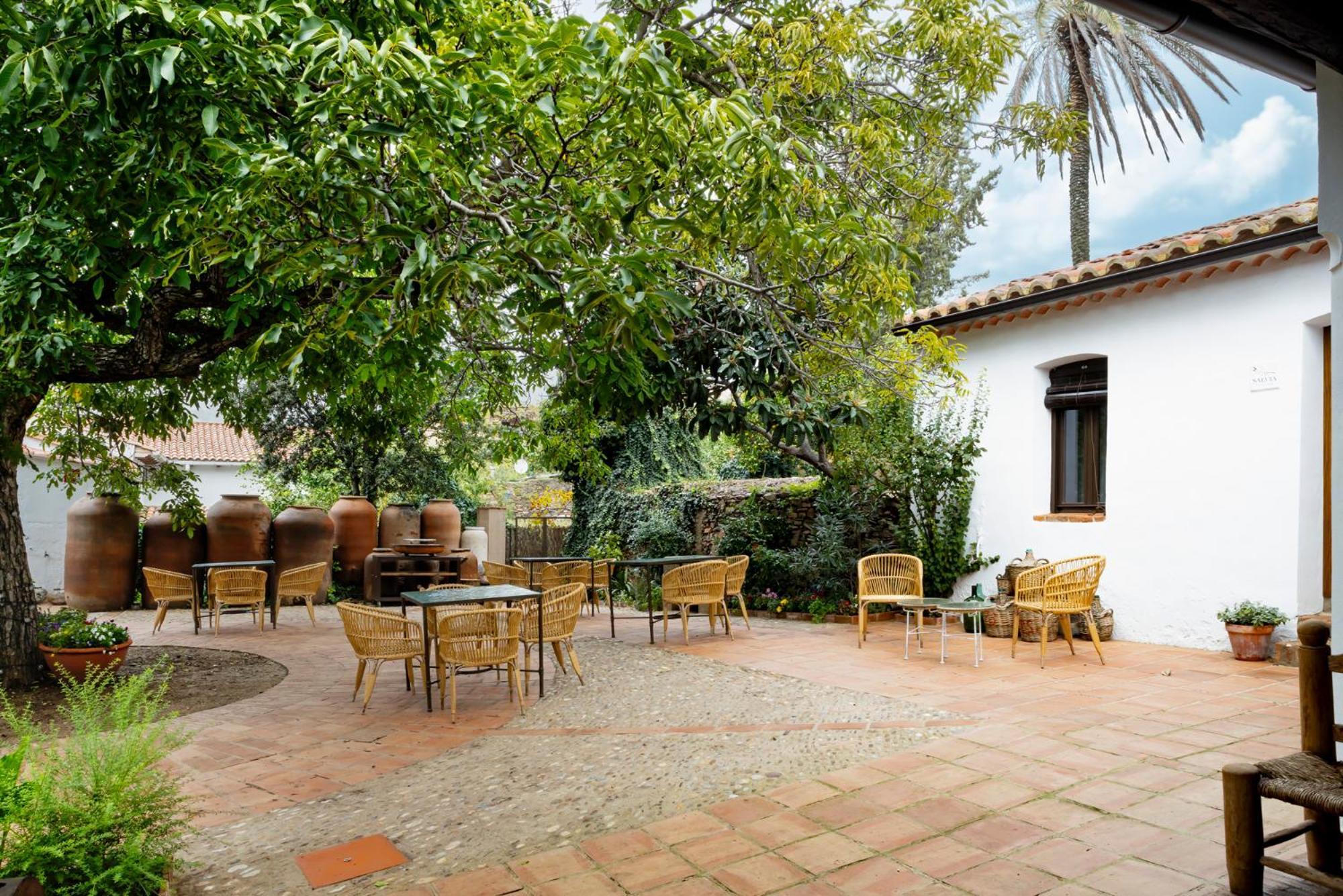 Apartamentos Turisticos El Patio Del Nogal Guadalupe  Exterior foto